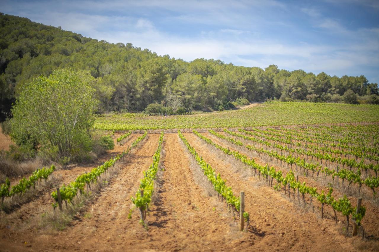 Catalunya Casas Tranquil Nature "Feel" , Yet Only 4 Min To Beach! Calafell Buitenkant foto